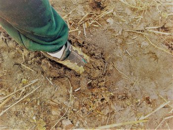 Bieganie wiosną kojarzy mi się z praniem